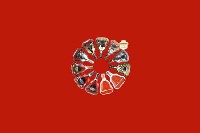 辽中回收红酒